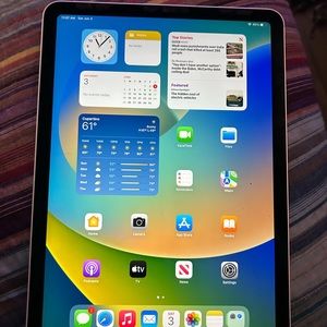 Apple iPad Air 5 gen with case